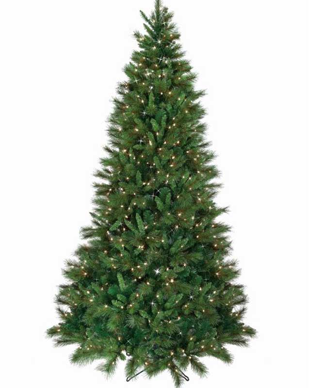10' Belgium Mix with 1050 Clear LED Lights - Image 2